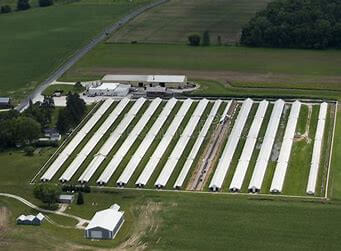 آیا دامداری بزرگتر ضرورتا بهتر است؟