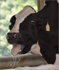 همه آنچه باید درباره کنترل استرس گرمایی دانست