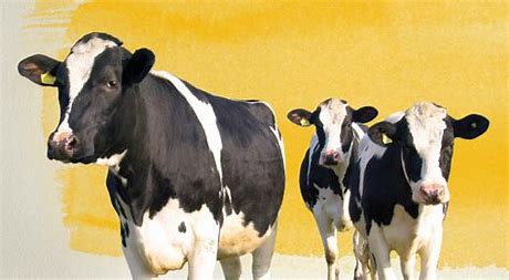 موننسین چه زمانی و چگونه اثرگذار خواهد بود؟