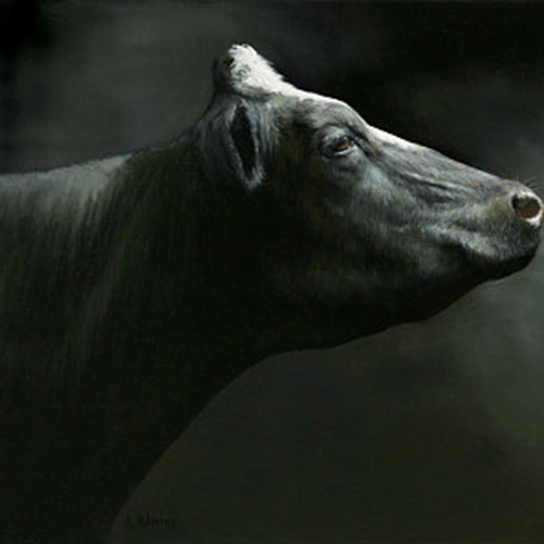 تشخیص و شناسایی کتوز و درمان با توجه به سطح BHBA