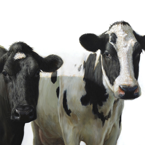 تبادل نظر فنی 5: راهکارهای افزایش ماده خشک مصرفی در گاوهای تازه زا