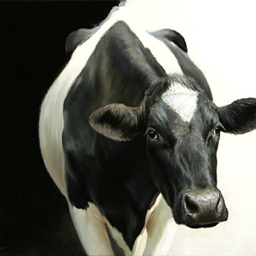 استفاده از تغذیه برای افزایش سیستم ایمنی و سلامت دام در طول دوره انتقال