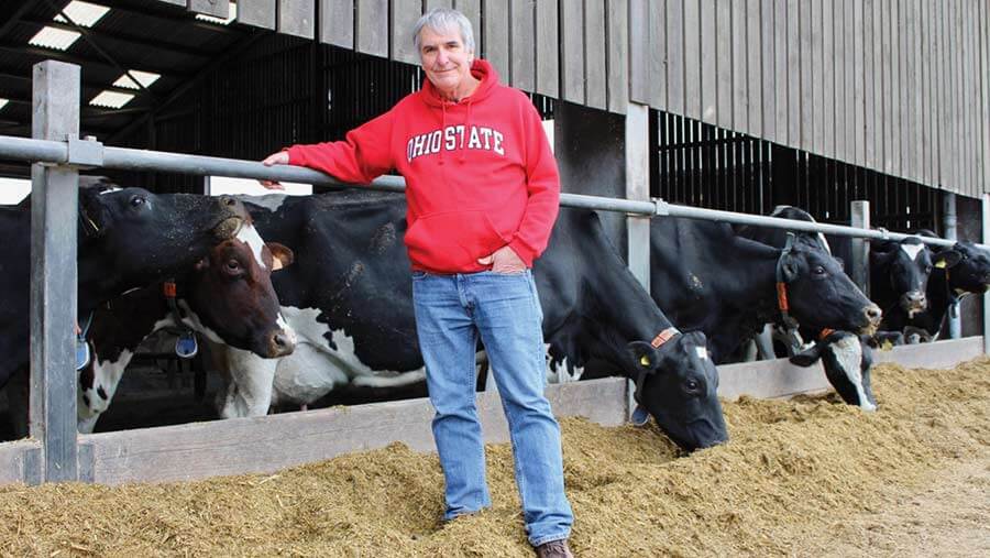 5 نکته کلیدی در مصرف مواد معدنی